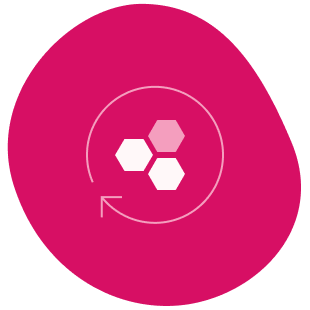 Regenerace